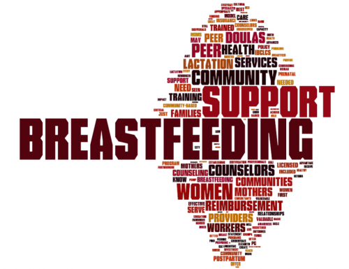 The Power of Support in Breastfeeding Success